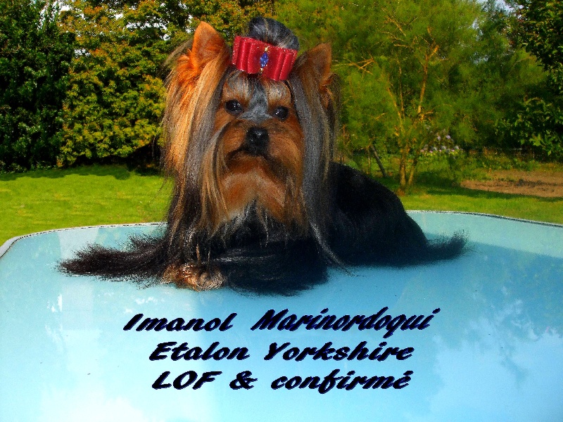 Imanol marinordoqui de la nacre d antan
