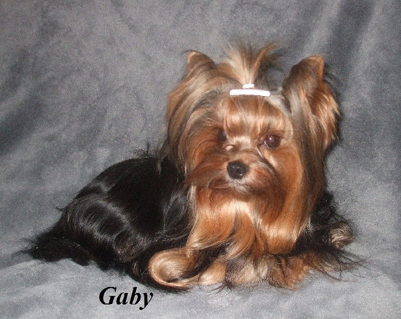 Gabby de Valy d'Aumont
